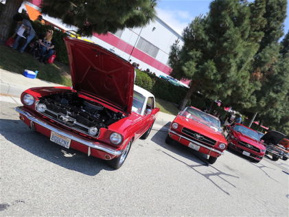 Row of Ford Mustangs